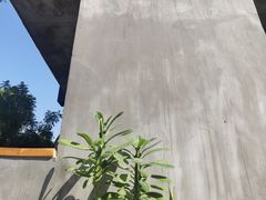 -251#coffee roasters(沿河东路店)