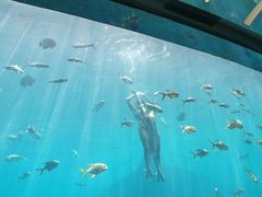 -瑞德姆美人鱼海底演艺主题餐厅(亚龙湾店)