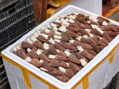 -大观篆新农贸市场