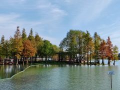 -贡湖湾湿地公园