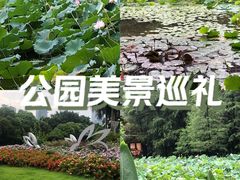 -广州珠江公园