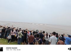 -观潮胜地公园