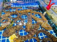-必点海鲜·鲅鱼水饺(鞍山西道店)