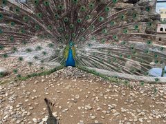 -清风小镇闯关东影视基地