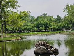 -石家庄市植物园