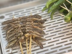 -宵夜侠·自选衡阳烧烤大排档(新塘白江店)