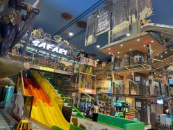 -卡通尼·Safari非洲探索乐园·生日会(金桥国际商业广场店)