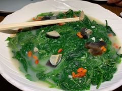 桑叶-金苑酒家·客家菜·广东老字号(万象店)