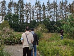 -上海长兴岛郊野公园