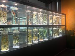 -广东中医药博物馆