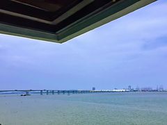-大湾区中央湿地公园