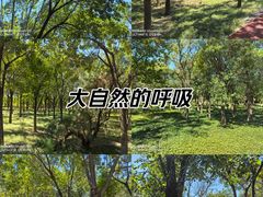 -官港森林公园
