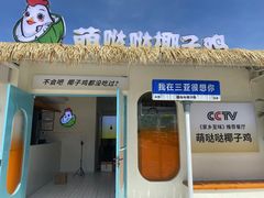 -亚龙湾热带天堂森林公园