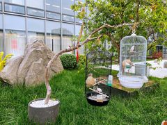 -悦融·京鲁菜·露台花园(安定门店)