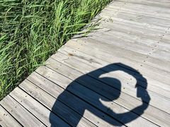 -野鸭湖国家湿地公园