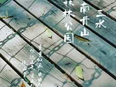 -南丹山森林王国