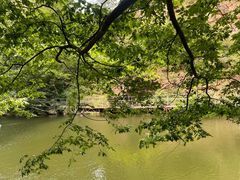 -湖洞水自然风景区