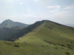 -大姆山草场