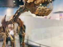 -北京周口店北京人遗址博物馆