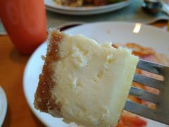 芝士蛋糕-视界美食自助餐厅·石家庄希尔顿酒店