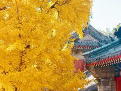 -承恩寺