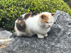 -上海市龙华烈士陵园