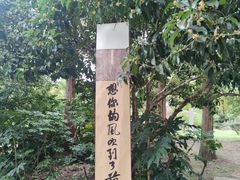 -兰亭风景区