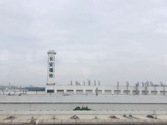 -一只酸奶牛(八一路店)