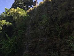 -广州神农草堂中医药博物馆