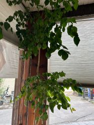 -香秀空间科技抗衰·美容中心