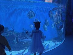 -海合安成都极地海洋公园