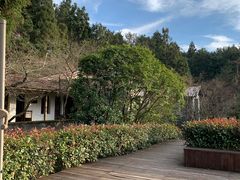 -溪口商量岗景区