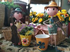 -桂林市花鸟市场