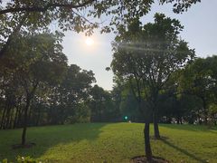 -美兰湖景区