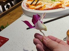 -小龙坎火锅(总店)