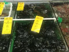 -鸿达渔港