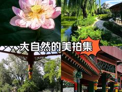 -北京动物园