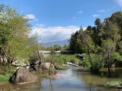 -黑龙潭公园