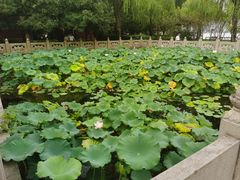 -钱王祠