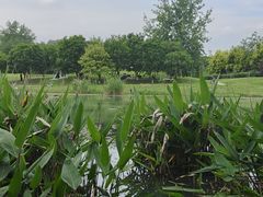 -两河城市森林公园