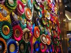 -more than meow吴止猫主题餐厅(承德 中船汇店)