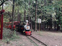 -共青国家森林公园-南大门停车场