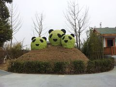 -苏州太湖国家湿地公园