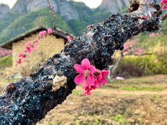 -南武当山景区