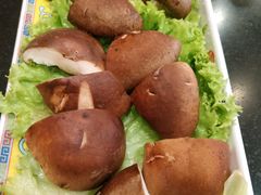 -芦月轩羊蝎子(北蜂窝店)