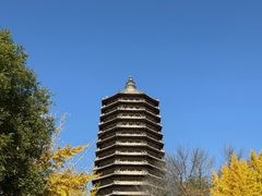 -玲珑塔公园