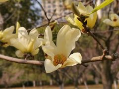 -白塘生态植物园
