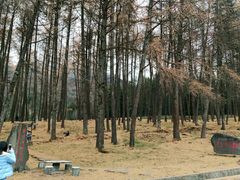 -硗碛藏寨·神木垒景区