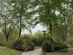 -北极寺公园