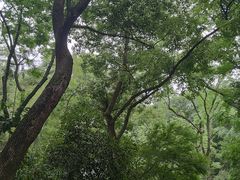 -杭州黄龙洞